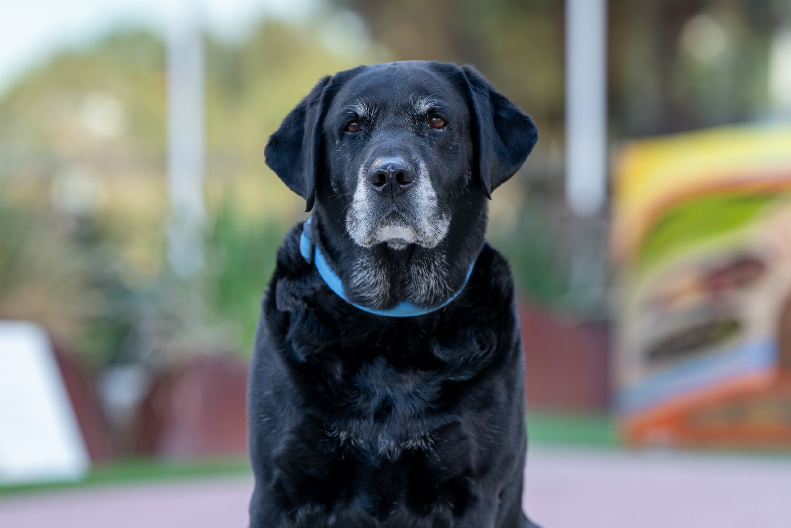 Remembering Gus